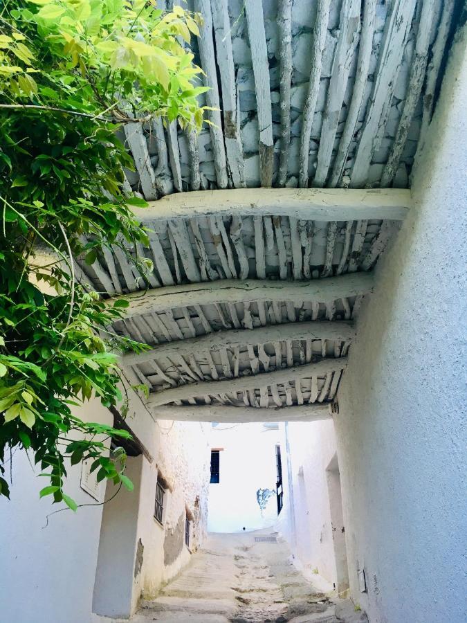 Apartamento El Refugio De Mecina Mecina Fondales Exteriör bild