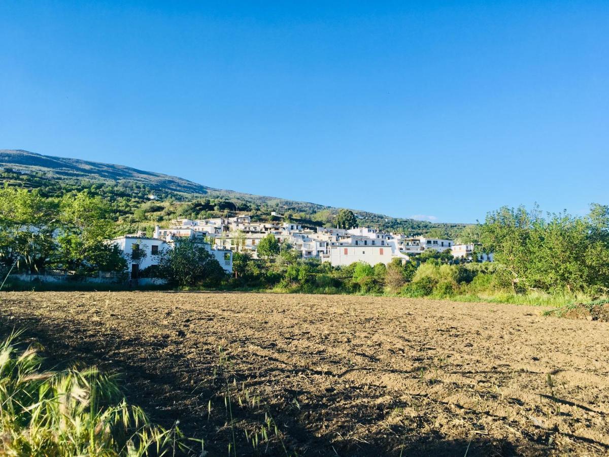 Apartamento El Refugio De Mecina Mecina Fondales Exteriör bild